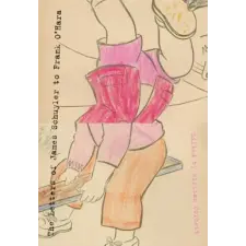  Letters Of James Schuyler To Frank O'hara – James Schuyler idegen nyelvű könyv