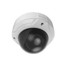 LevelOne FCS-3085 Kültéri Dome kamera megfigyelő kamera