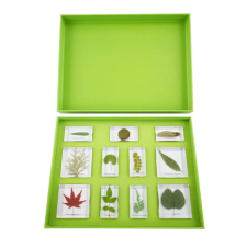  Levéltípusok - 11 db-os preparátum készlet oktatójáték