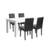 Leziter Leon 4+1 étkező garnitúra fehér-fekete