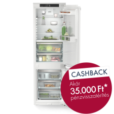 Liebherr ICBNei 5123 hűtőgép, hűtőszekrény