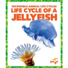  Life Cycle of a Jellyfish – Karen Kenney idegen nyelvű könyv