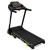 LifeFit TM3301
