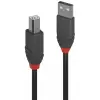 LINDY USB Összekötő Fekete 1m 36672