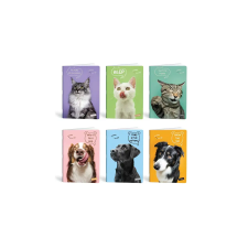 Lipamill Füzet vonalas LIPAMILL A/4 40 lapos Pets füzet