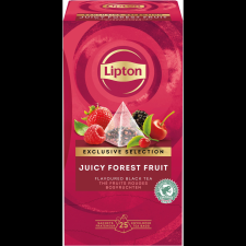 LIPTON Pyramid Forest Fruit 25 × 1,68g (8720608020584) tea
