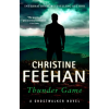 Little, Brown Book Group Thunder Game | Christine Feehan