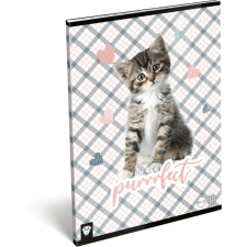 Lizzy Card cicás tűzött füzet A/4, 32 lap kockás, Purrrfect füzet