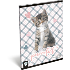 Lizzy Card cicás tűzött füzet A/5, 32 lap sima, Purrrfect füzet