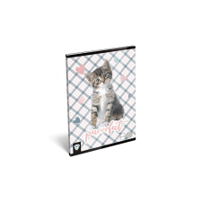 Lizzy Card Füzet LIZZY CARD A5 32 lapos vonalas 21-32 purrrfect füzet
