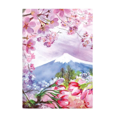 Lizzy Trade Kft. Bizományos Lizzy napi tervező, B6 design, 2026, MOUNTAIN határidőnapló