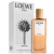 Loewe Solo Esencial EDT 100 ml