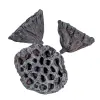  Lótusz 8-10cm falfestékes szürke 10db-os