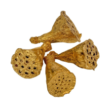  Lótusz mini óarany 5dkg/csom dekorációs kellék