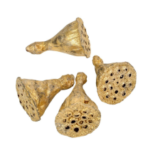  Lótusz szárított mini pezsgő 5dkg/csom dekorációs kellék