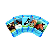  Lovak memóriakártya kreatív és készségfejlesztő