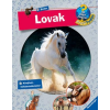 - LOVAK - MIT? MIÉRT? HOGYAN? - PROFI TUDÁS