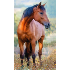  Lovas Brown kéztörlő arctörlő, törölköző 30x50cm lakástextília