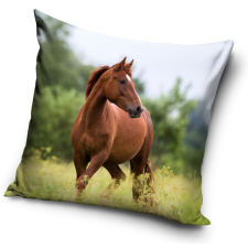 Lovas párnahuzat 40*40 cm lakástextília