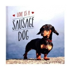  Love is a Sausage Dog – Charlie Ellis idegen nyelvű könyv