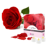 Loverspremium LoversPremium - rózsaszirom szett (103 részes) - piros