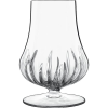Luigi Bormioli Whiskys pohár, Luigi Bormioli Mixology, 230 ml