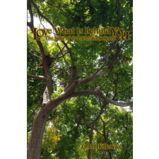 Lulu.com Love What is Behind You | E. M. Holloway idegen nyelvű könyv