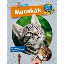 Macskák - Profi Tudás gyermek- és ifjúsági könyv