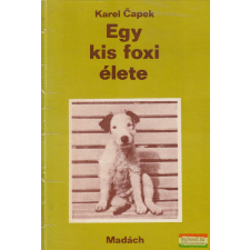 Madách Könyv- és Lapkiadó Egy kis foxi élete gyermek- és ifjúsági könyv