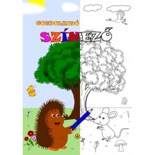 Magánkiadás Gondolkodó színező (B) gyermek- és ifjúsági könyv