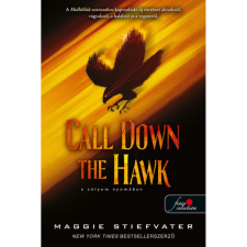  Maggie Stiefvater - Call Down the Hawk - A sólyom Nyomában regény
