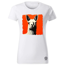 Magnolion Street art láma v3 női póló - 19 szín, XS-2XL női póló