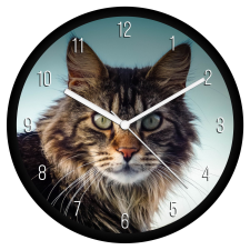  Maine Coon cica falióra falióra