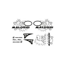 MALOSSI Matricakészlet Malossi Trophy Vespa Primavera / Sprint egyéb motorkerékpár alkatrész