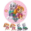  Mancsőrjárat, Paw Patrol,Skye, Everest témájú tortaostya,ostyalap
