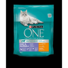 Mars-Nestlé Purina ONE Coat&Hairball Bifensis (csirke,gabona) száraztáp lakásban tartott macskák részére (800g)