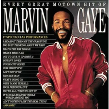  Marvin Gaye - Every Great Motown Hit Of 1LP egyéb zene