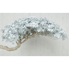  Matrica tapéta Absztrakt szürke fa, 200 x 150 cm tapéta, díszléc és más dekoráció