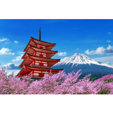  Matrica tapéta Flori154 Pagoda cseresznyevirággal, 200 x 150 cm tapéta, díszléc és más dekoráció