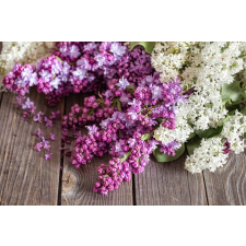  Matrica tapéta Flowers150 Lila lila-fehér, 250 x 150 cm tapéta, díszléc és más dekoráció