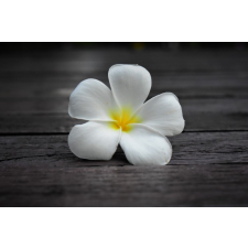  Matrica tapéta Flowers59, 200 x 150 cm tapéta, díszléc és más dekoráció