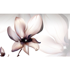  Matrica tapéta Magnólia virág, 250 x 200 cm tapéta, díszléc és más dekoráció