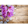  Matrica tapéta Rózsaszín orchidea kövekkel, 350 x 250 cm
