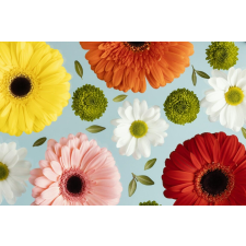  Matrica tapéta Virágok171 Gerberák és százszorszépek2, 150 x 205 cm tapéta, díszléc és más dekoráció