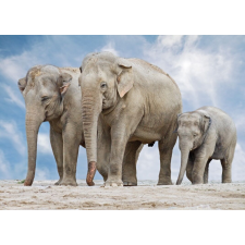  Matricás tapéta Elefántcsalád, 270 x 200 cm tapéta, díszléc és más dekoráció
