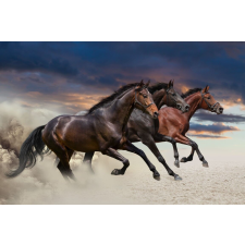  Matricás tapéta Három ló, vágta, 270 x 200 cm tapéta, díszléc és más dekoráció