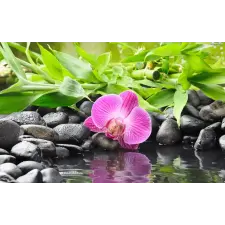  Matricás tapéta Orchideák bambusszal, 300 x 200 cm tapéta, díszléc és más dekoráció