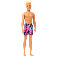Mattel Barbie - Ken Beach baba barbie baba