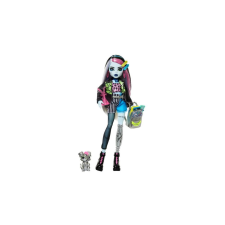 Mattel Monster High Frankie Stein baba - kisállattal és kiegészítőkkel (HPD53-HXH73) baba