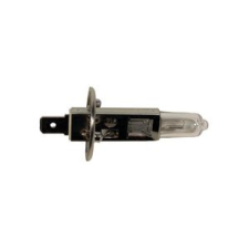 MAXGEAR izzó h1,p14,5s,W55 autó izzó, izzókészlet